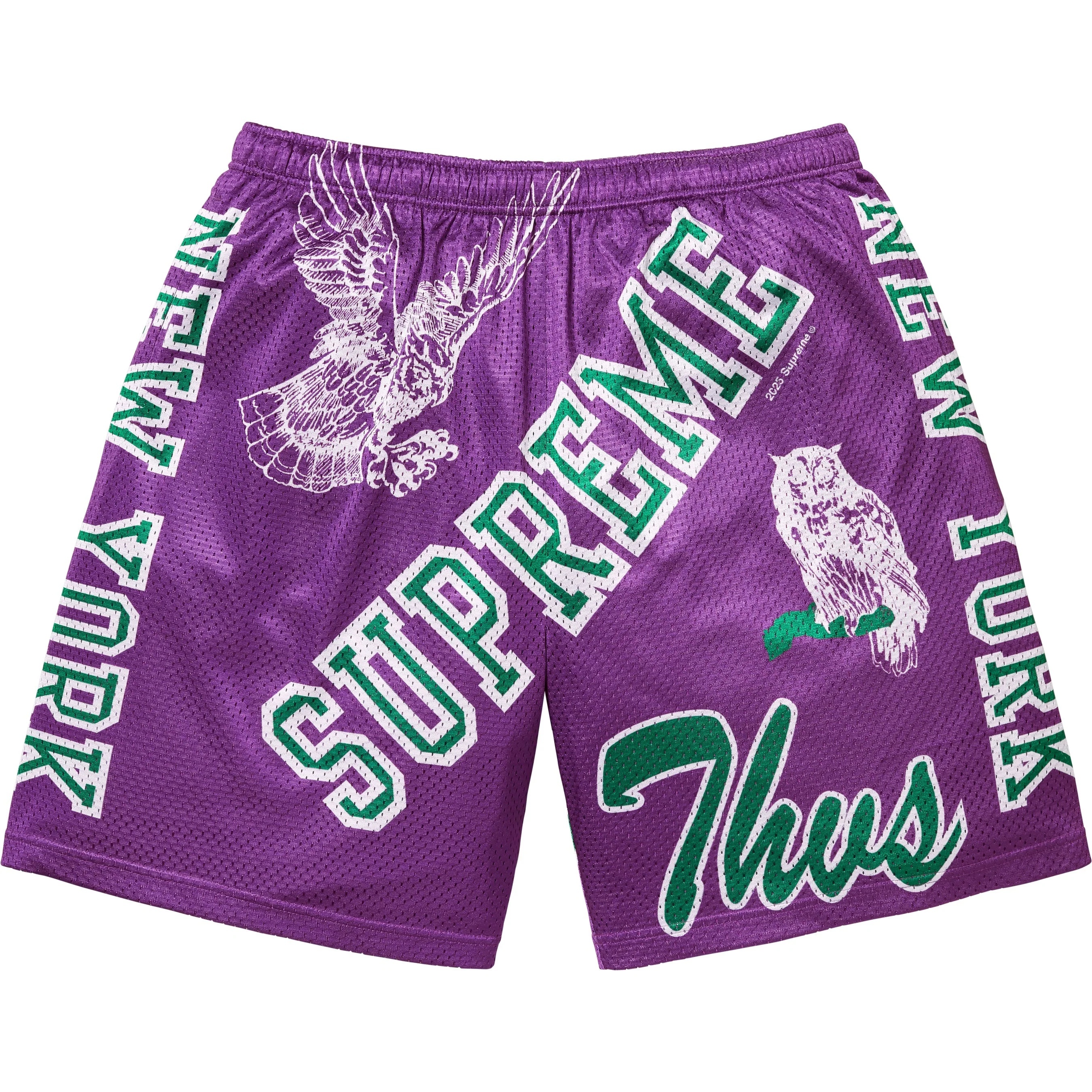 Varsity Mesh Short view 11